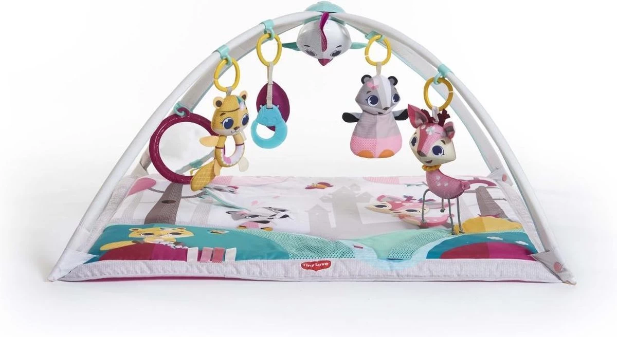 Tiny Love Deluxe Babygym - Princess Tales - Roze