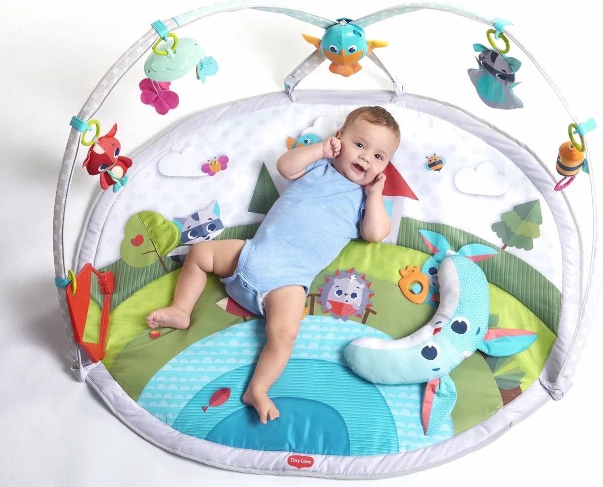 Tiny Love Dynamic Babygym - Meadow Days - Afbeelding 16